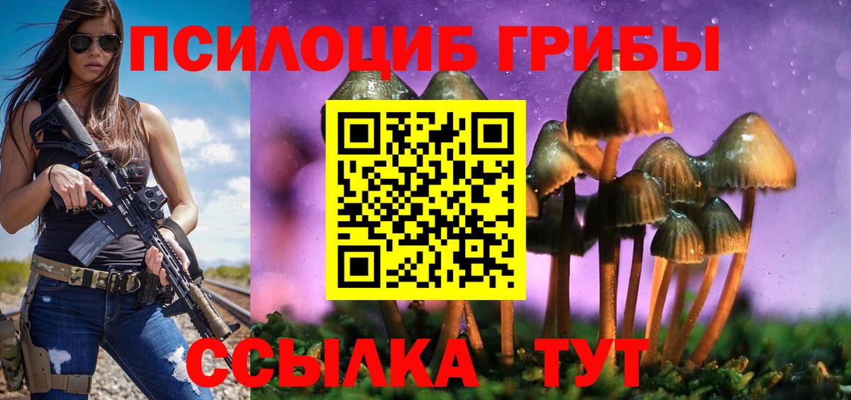 Галлюциногенные грибы Psilocybine cubensis  Псилоцибиновые грибы MAGIC MUSHROOMS  Котовск  Вход с VPN 