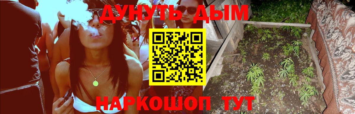 Котовск  Бошки марихуана Amnesia  Каннабис планчик  Вход с VPN  Конопля сатива 